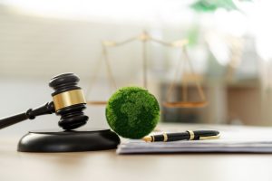 cross-border legal cases